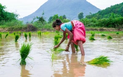 AI Startup Mitti Labs Fights Climate Change, One Rice Paddy at a Time