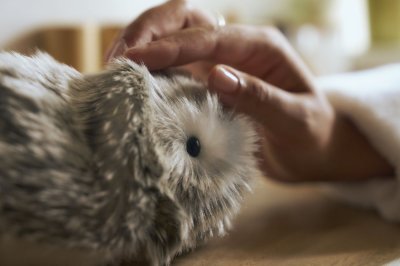 Casio's Stress-Melting Moflin Robot Pet Headed to US and UK Shores