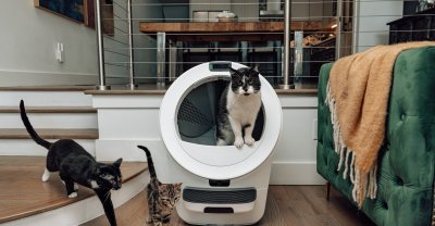 Whisker Unveils Litter-Robot 5 Pro: AI Facial Recognition Revolutionizes Feline Health Monitoring and Waste Management