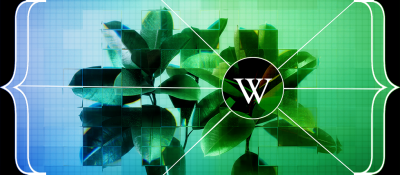 Wikimedia's Grand Vision: Unlocking Its Vast Data Universe for Smarter Discovery by Humans and AI